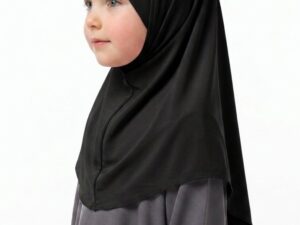 Product Description