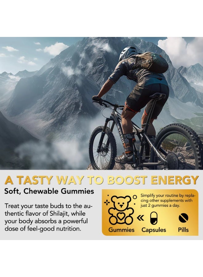 60Pcs Shilajit Gummies for Men & Women 400mg Pure Himalayan Shilajit Gold Gummie