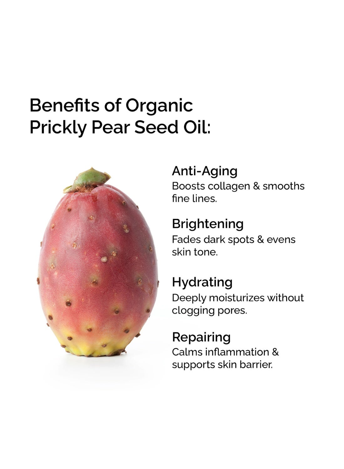 Organic Prickly Pear Seed Oil 10ml | 100% Pure Cold Pressed | Certified Organic