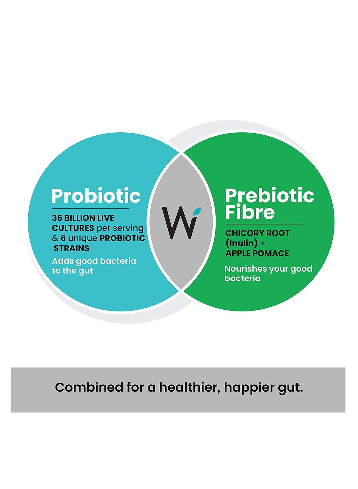 Pack of 6 Daily Probiotic + Prebiotic Plant Based 36 Billion CFU, 6 Strains for Men ∧ Women with Organic Fiber for Digestion, Gut Health, Metabolism 21 Tab - Image 5
