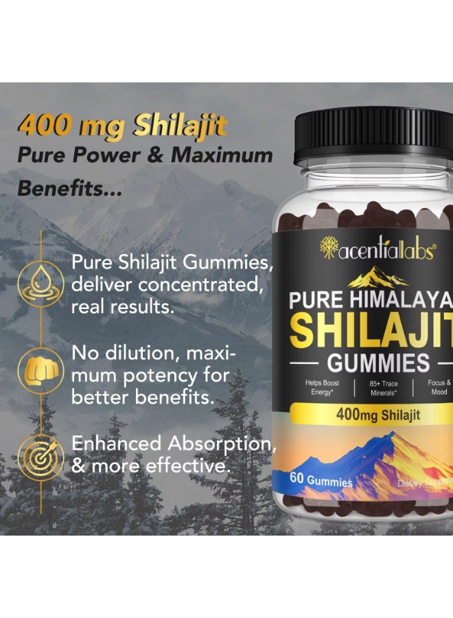 Combo Pack of Himalayan Shilajit Resin 60G 800Mg and 60Pcs Shilajit Gummies for 