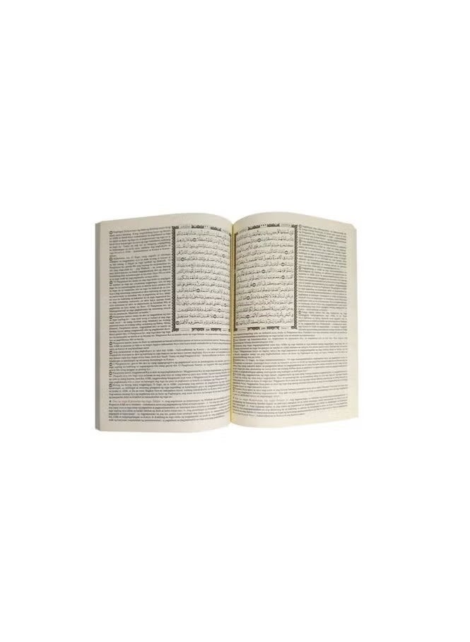 Quran alkarim in Filipino with a concise Filipino interpretation, published by the King Fahd Complex in Saudi Arabia, medium size 24*17 - Image 3