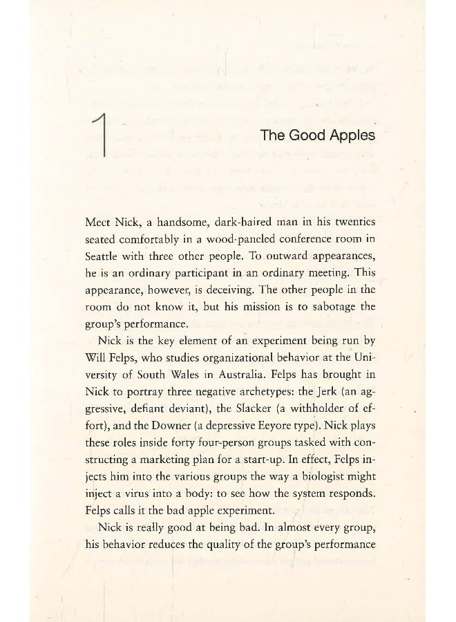 The Culture Code - Image 4