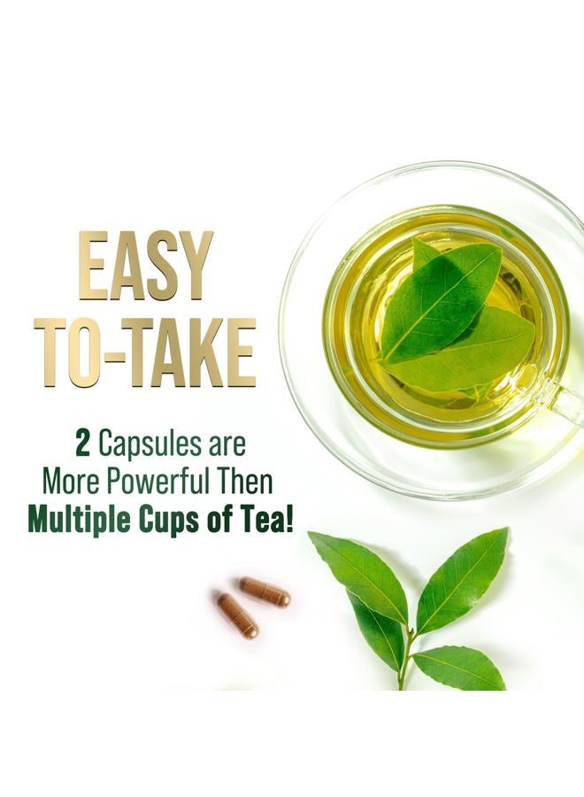 Green Tea Extract Capsules 1000mg 98% Standardized EGCG - 3X Strength for Natura