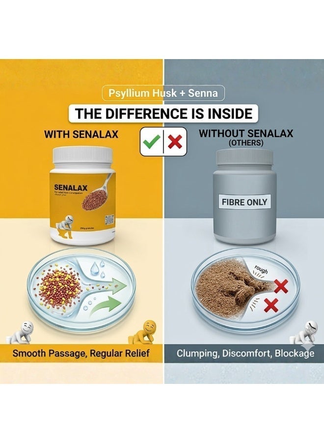SENALAX Psyllium Husk Supplement 250g | Ispaghula & Senna Fibre Formula | Gluten