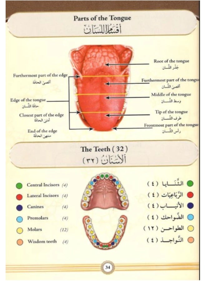 Illustrated Tajweed English in One Volume