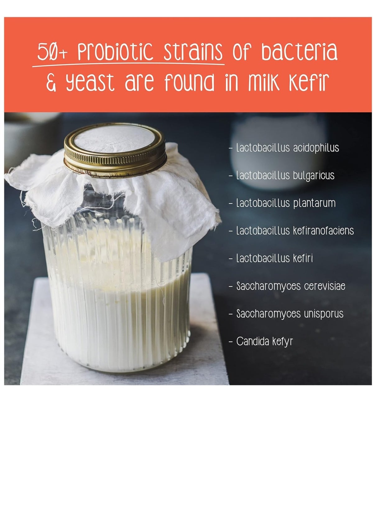 Easy to-use kefir perfect for newcomers No feeding of kefir grain continuous sieving or complicated maintenance is required Start your kefir journey effortlessly - Image 2