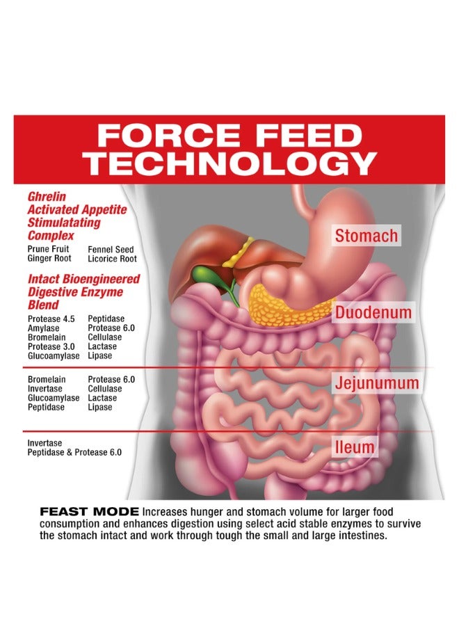 Feast Mode ,90 Capsules - Image 2
