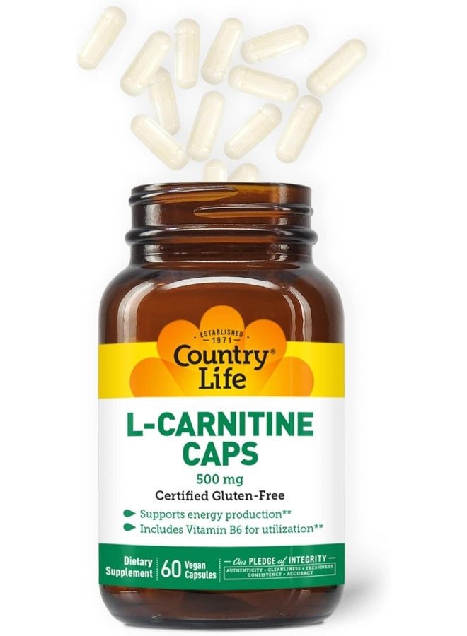 L-Carnitine 500 mg Vegan Capsules 60's - Image 3