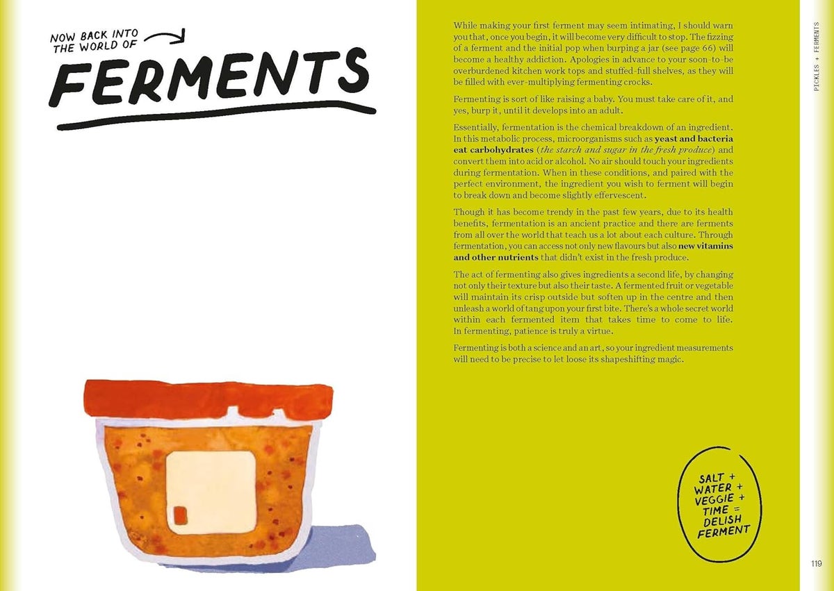 The Condiment Book: A Brilliantly Flavourful Guide to Food's Unsung Heroes - Image 6